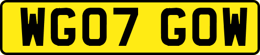 WG07GOW