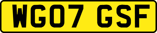WG07GSF