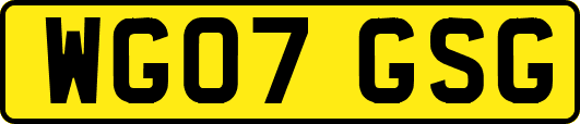 WG07GSG
