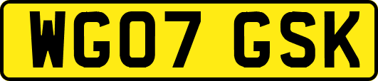 WG07GSK