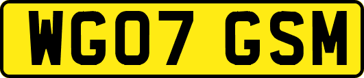 WG07GSM