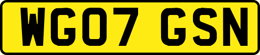 WG07GSN