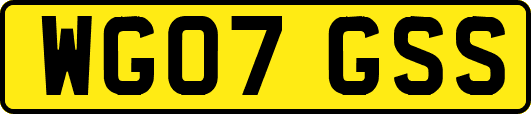 WG07GSS