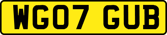 WG07GUB