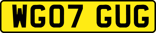 WG07GUG