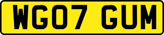 WG07GUM