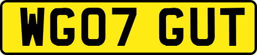 WG07GUT