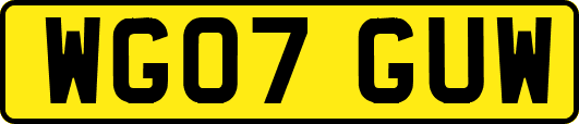 WG07GUW