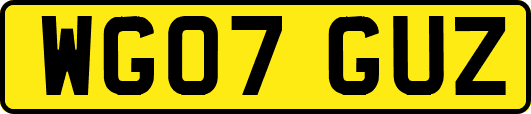 WG07GUZ