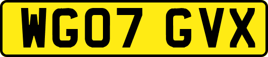 WG07GVX