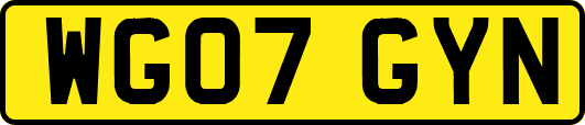 WG07GYN