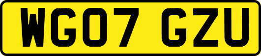 WG07GZU