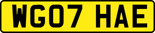 WG07HAE