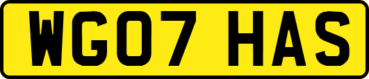 WG07HAS