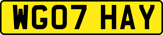 WG07HAY
