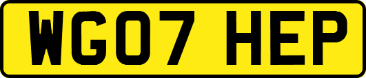 WG07HEP