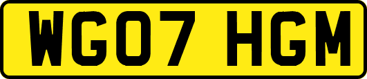 WG07HGM