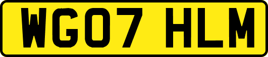 WG07HLM