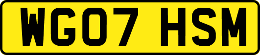 WG07HSM