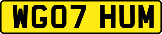 WG07HUM