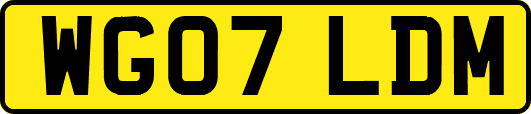 WG07LDM