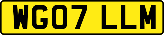 WG07LLM
