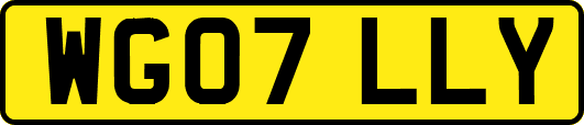 WG07LLY