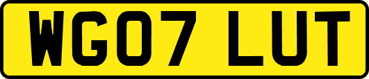 WG07LUT