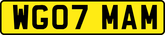 WG07MAM