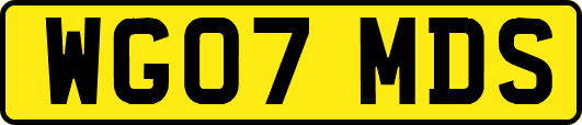 WG07MDS
