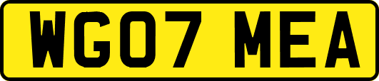 WG07MEA