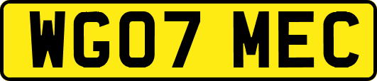 WG07MEC