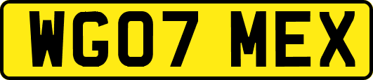 WG07MEX