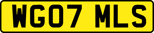 WG07MLS