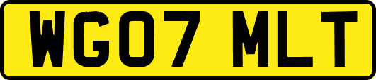 WG07MLT