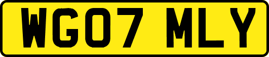 WG07MLY