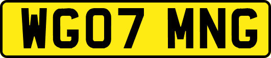 WG07MNG