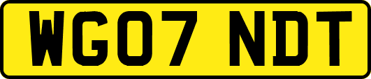 WG07NDT