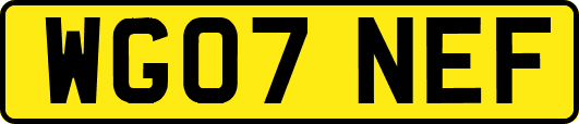 WG07NEF