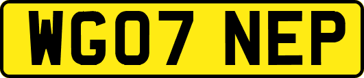 WG07NEP
