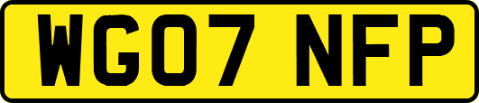 WG07NFP