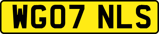 WG07NLS