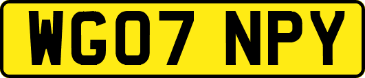 WG07NPY