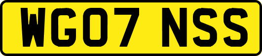 WG07NSS