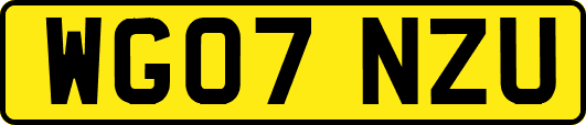 WG07NZU