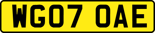 WG07OAE