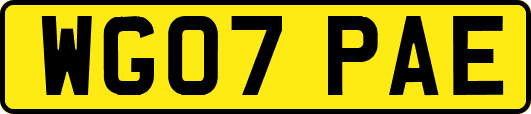 WG07PAE