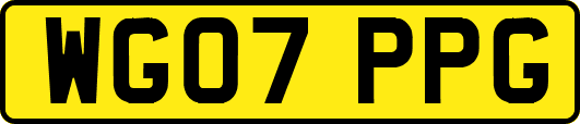 WG07PPG