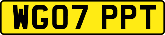 WG07PPT