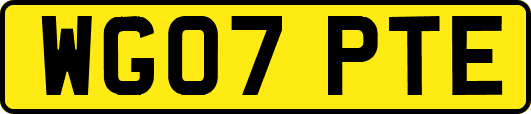WG07PTE